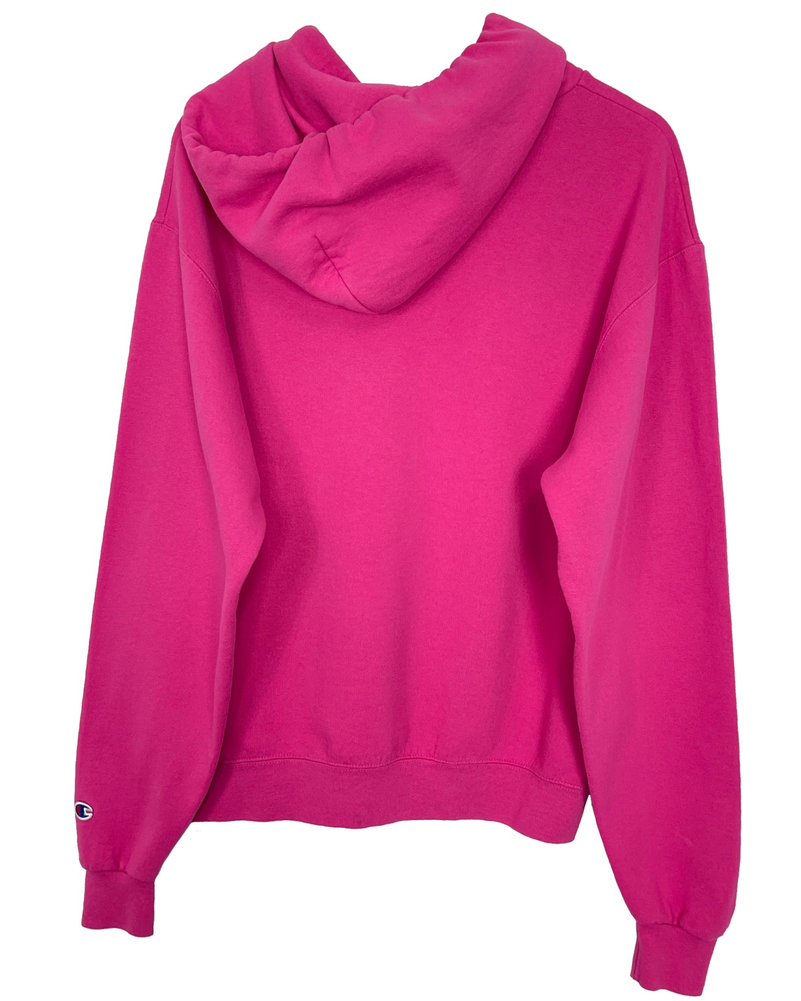 Sweat à capuche Champion Hoodie - Dakota County Technical College - M - PLOMOSTORE