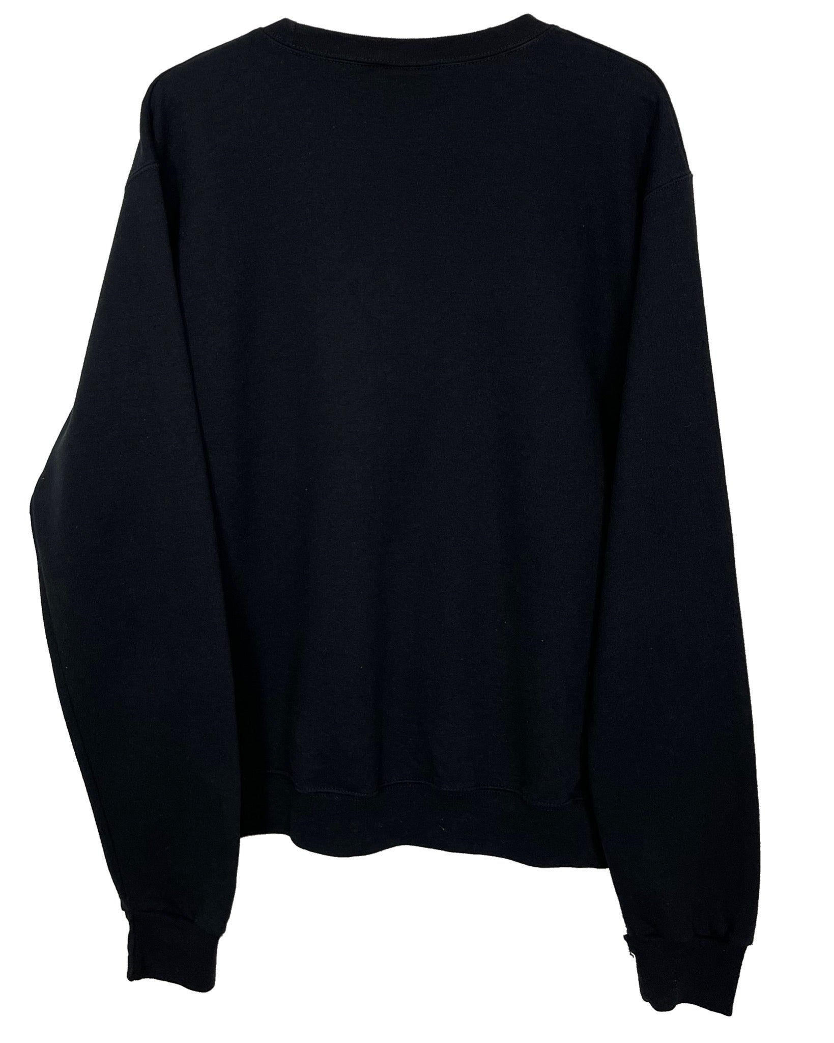 Sweatshirt Champion Sweat - San José State University - M - PLOMOSTORE